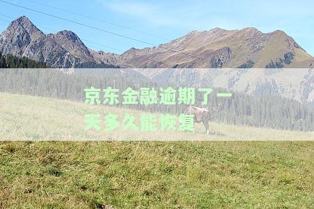 京东金融逾期了一天多久能恢复正常，京东金融逾期一天会对账户产生何种影响？多久能够恢复正常？