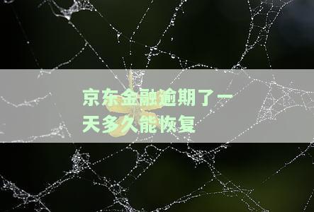 京东金融逾期了一天多久能恢复额度，京东金融逾期一天的处理方式：多久能恢复额度？
