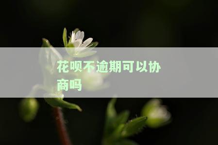 花呗逾期的还了,没有逾期的可以继续分期还吗，解决花呗还款问题：逾期已处理，未逾期能否继续分期？