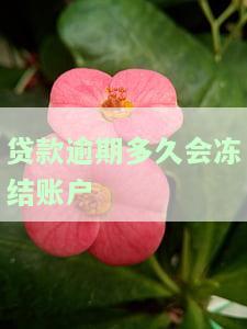 贷款逾期多久会冻结账户？影响及解决办法