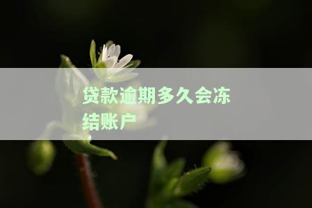 贷款逾期多久会冻结账户-贷款逾期多久会冻结账户呢