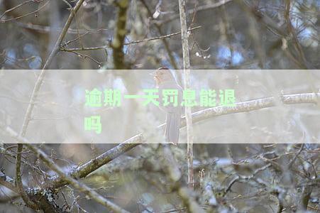 逾期一天罚息能退吗怎么退，如何申请退还逾期一天的罚息？