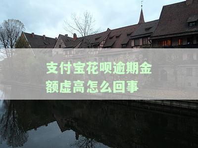 支付宝花呗逾期金额虚高怎么回事