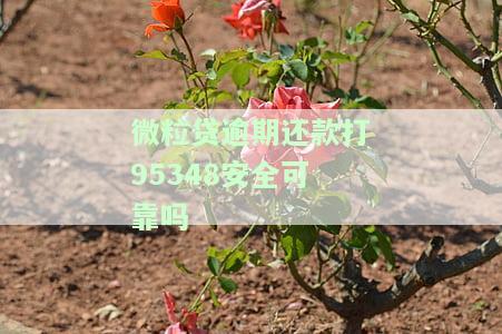 微粒贷逾期了会给谁打电话？是否会通知亲友？逾期32天，接到电话称将被逮捕！