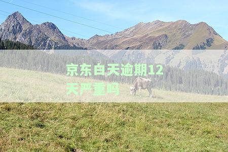 京东白天逾期12天严重吗，京东逾期12天是否严重？解析白天逾期的后果