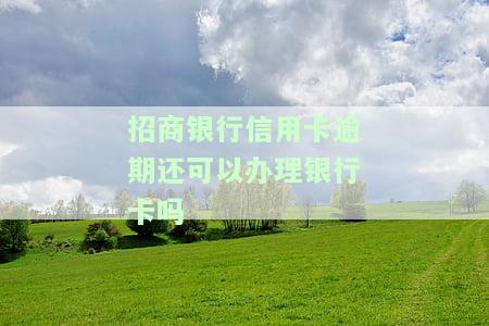 欠招商银行信用卡还能办招商银行的银行卡吗，信用卡欠款未还，是否影响申请招商银行其他银行卡？