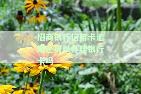 招商银行信用卡逾期还可以办理银行卡吗