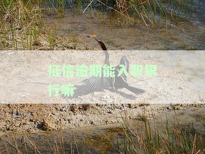 征信逾期能入职银行吗？会对职业发展产生影响吗？如何解决逾期问题？