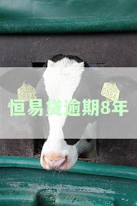 恒易贷逾期半年,现在要起诉，恒易贷逾期半年，面临被起诉风险