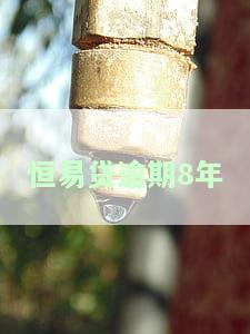 恒易贷逾期一年会上门吗，恒易贷逾期一年是否会上门催收？你需要了解的风险和应对策略