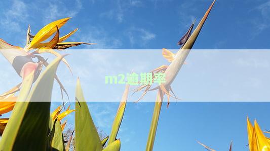 M2逾期率怎么算，如何计算M2的逾期率？