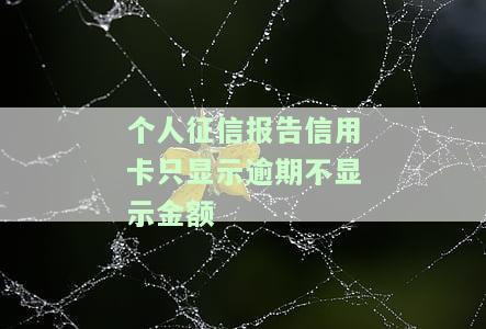 个人征信报告信用卡只显示逾期，不显示金额？如何处理？
