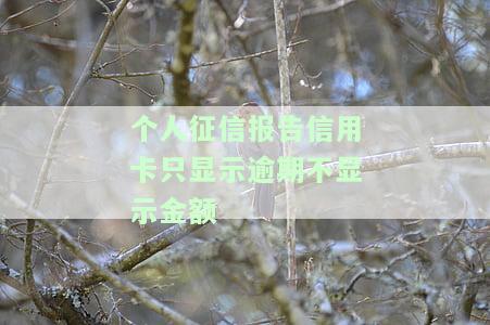 征信上显示信用卡欠款金额吗，了解你的信用状况：征信报告中是否显示信用卡欠款金额？