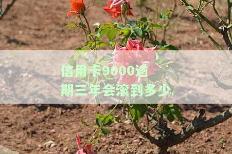 欠信用卡9000元逾期4年，拖欠信用卡9000元四年未还，可能面临什么后果？