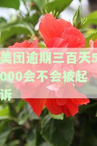美团逾期几千块,一个月会怎么样是否美团起诉，美团逾期几千块，一个月后会发生什么？是否会遭到美团起诉？