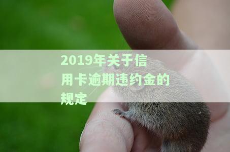 2019年关于信用卡逾期违约金的规定是什么？