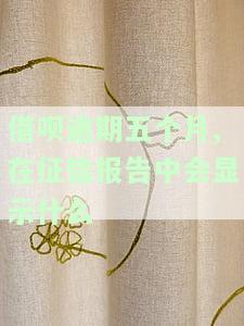 借呗逾期五个月，征信报告将显示何种信息？