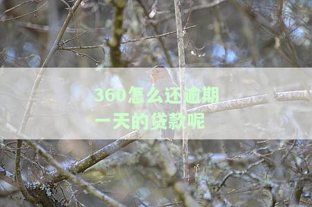 360逾期1天后还款，能否再次借款？