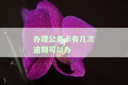 公务卡逾期多久会上征信，了解公务卡逾期的严重性：多久会列入个人征信记录？