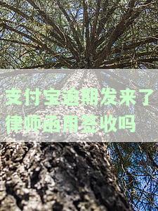 支付宝逾期寄来律师函，是否需要处理？