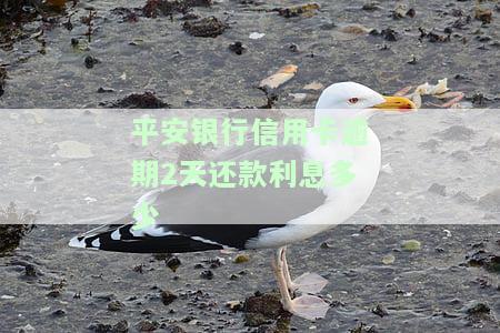 平安银行信用卡逾期一天，切勿忽视！平安银行信用卡逾期一天的后果严重