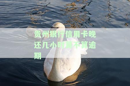 贵州银行办信用卡吗，请问在贵州可以办理贵州银行的信用卡吗？