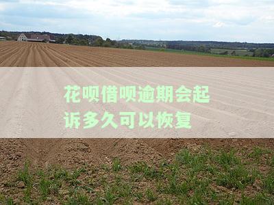 借呗,花呗逾期被起诉的过来说说,法院怎样判，逾期未还借呗、花呗？小心被起诉！法院审判结果揭秘
