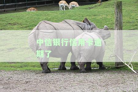 中信银行信用卡逾期了