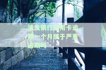 浦发银行信用卡逾期一个月是否算严重逾期？解决方案是什么？