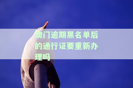 在澳门逾期被警察查到黑名单三年，澳门：逾期滞留导致三年黑名单，需警惕出入境规定