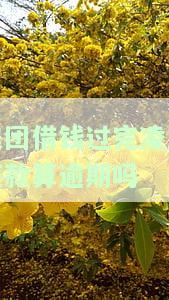美团借钱晨可以还款吗？晚上借款，夜间会放款吗？