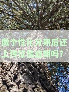 个性化分期还完后，征信能否恢复？还完多久可消除记录？