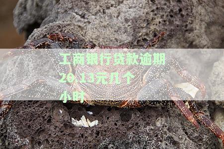 工商贷款逾期怎么办：解决流程与手续详解