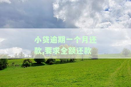 小贷逾期一个月还款,要求全额还款