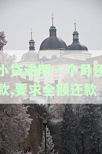 小贷逾期一个月还款,要求全额还款