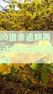 逾期两天还了多久可以再借，逾期两天还款后，多久可以再次借款？