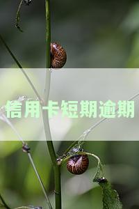 信用卡短期逾期多久消除，解答：信用卡短期逾期多久才能消除记录？
