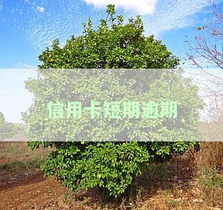 信用卡短期逾期被停卡怎么办，信用卡短期逾期导致停卡，如何解决？