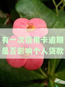 有一次信用卡逾期是否会影响个人贷款信息？