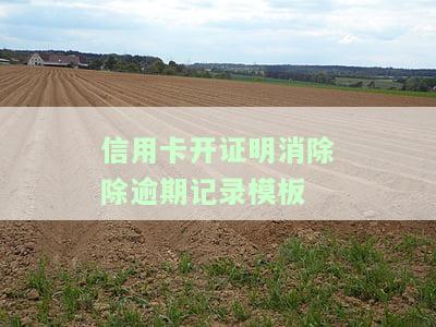 信用卡证明开具指南：如何获取白金卡证明？