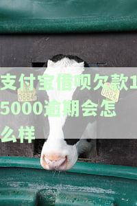支付宝借呗欠款15000逾期会有什么后果？