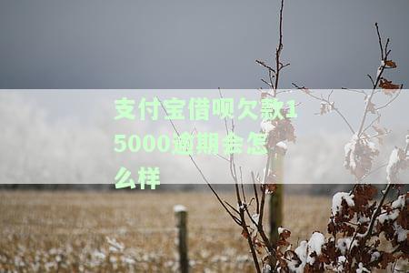 借呗15000逾期一年罚款金额是多少？