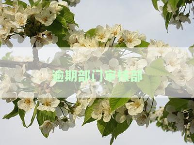 逾期部门审核部门是什么，什么是逾期部门和审核部门？