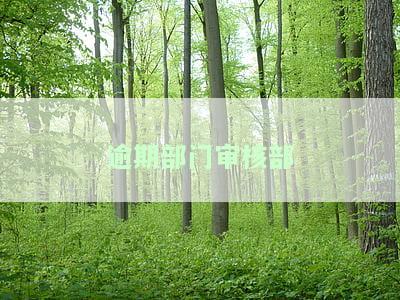 逾期部门审核部-逾期部门审核部门是什么