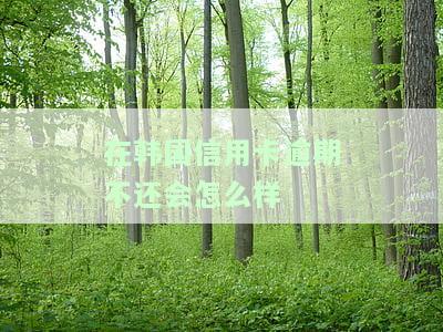在国信用卡逾期处理方法全攻略