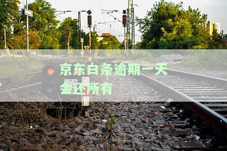 逾期1天：对征信有影响吗？会有什么后果？