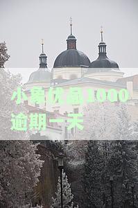 小象优品逾期几天会影响个人征信？详细后果解析