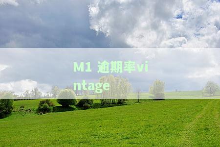 m1逾期率计算公式，深入解析：如何计算M1逾期率？