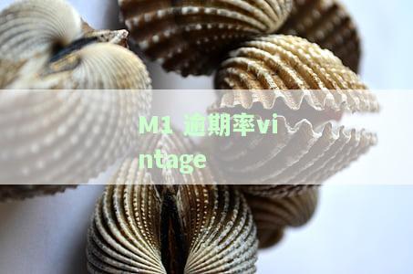 m1-m6逾期率，深入解析：M1-M6的逾期率趋势及影响因素