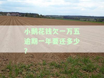 小鹅花钱欠4000一年后不还：会起诉、坐牢吗？